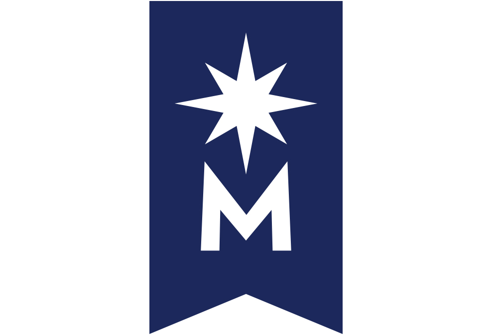 Banner icon