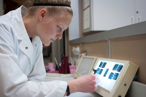 Student in science lab with slides