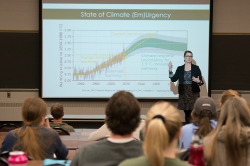 Undergraduate Students