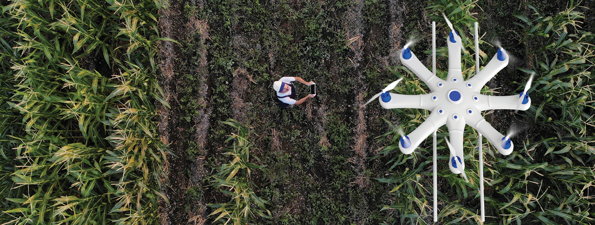drone hovering over field of plants