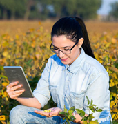 woman in field of plants with ipad