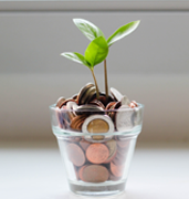 plant growing in cup filled with change