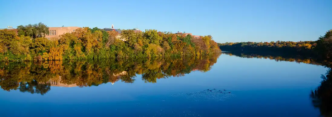 Fall leaves around a lake