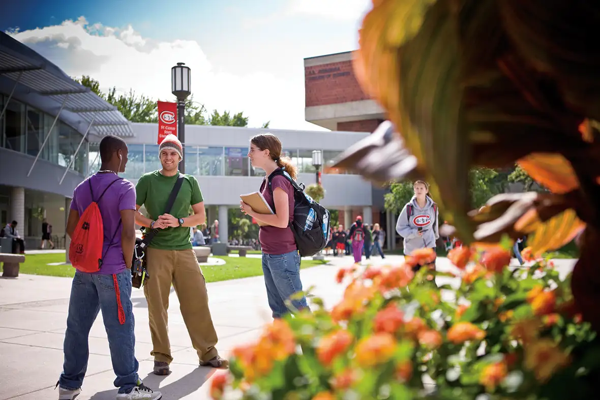 A group of students talk on the campus of St. Cloud State University framed by fall colored plants.