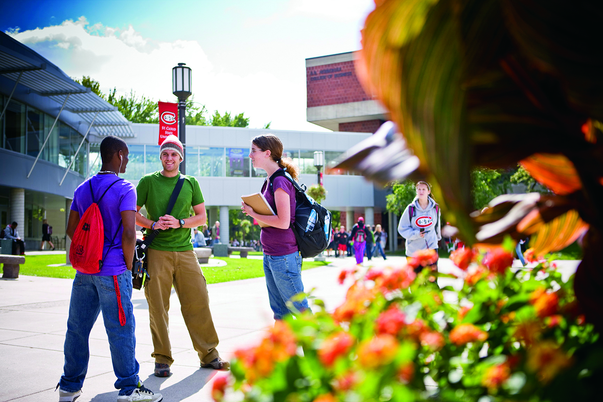 A group of students talk on the campus of St. Cloud State University framed by fall colored plants.